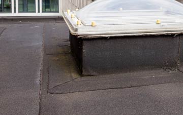 disadvantages of Craigavole flat roofs