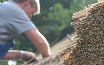 professional Craigavole thatchers